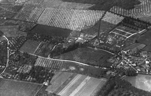 Apple Orchards at Long Rede, Barming, Kent 1934 (Album Ref 18, 13)