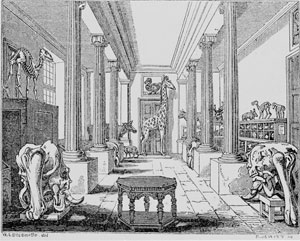 gallery