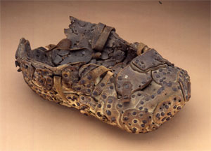 John Biggs Shoe (Click to enlarge)