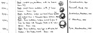 Register entry for neolithic Stone Balls (Click to enlarge)