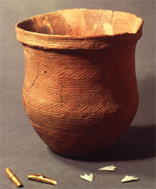 Objects from Radley Beaker burial