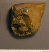 flint tool from Hertfordshire
