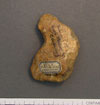 Paleolithic tool