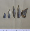 5 microlithis